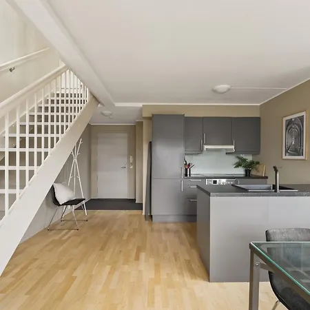 Penthouse 3-story With 2 Terraces & Balcony Oslo