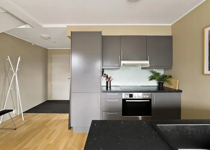 Penthouse 3-story With 2 Terraces & Balcony * Oslo