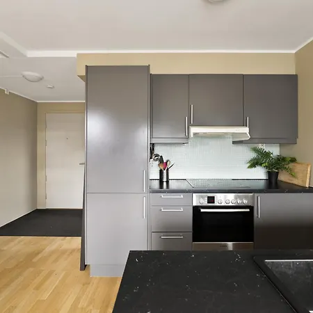 Penthouse 3-story With 2 Terraces & Balcony * Oslo